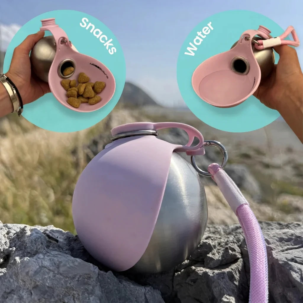 The 2-in-1 Dog Water Bottle & Bowl